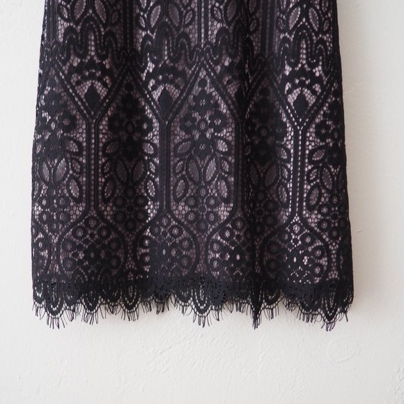 Ann Taylor LOFT Petites Sleeveless Lace Dress - Picture 2 of 5